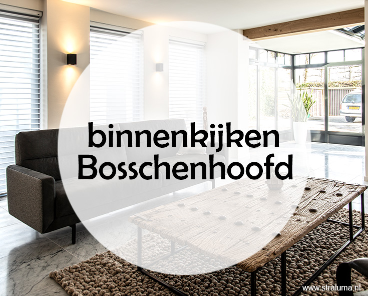Binnenkijken in Bosschenhoofd topic icon